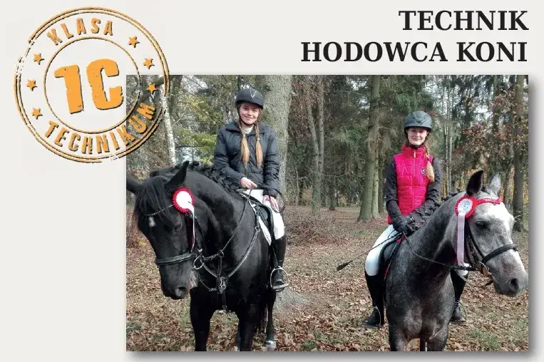 Zdjęcie Gdzie jest technikum hodowli koni? Odkryj najlepsze lokalizacje w Polsce