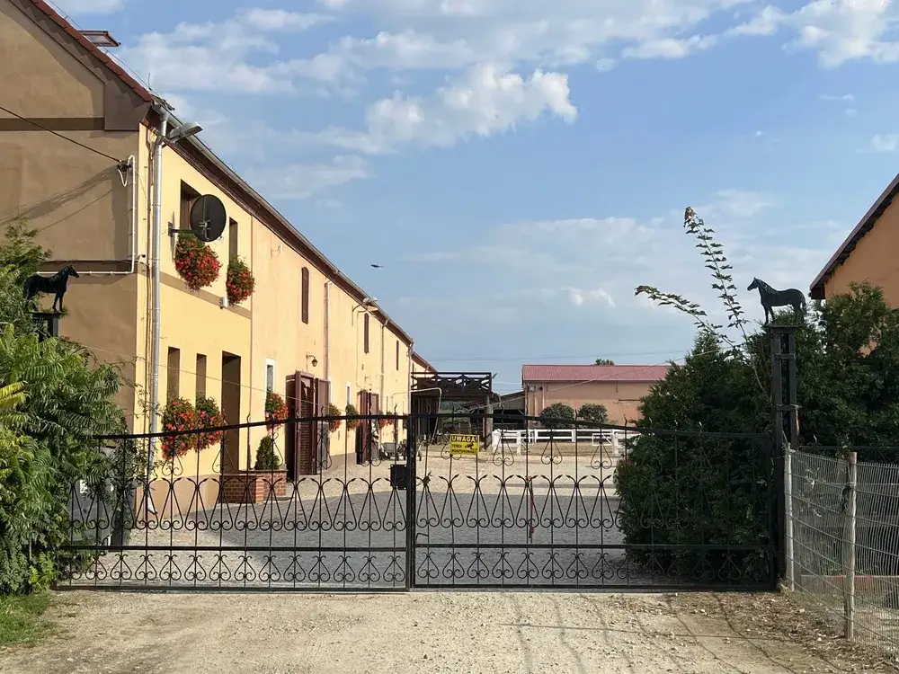 Zdjęcie Stadnina Koni Szymanów - pełna oferta jazdy konnej i opieki nad końmi
