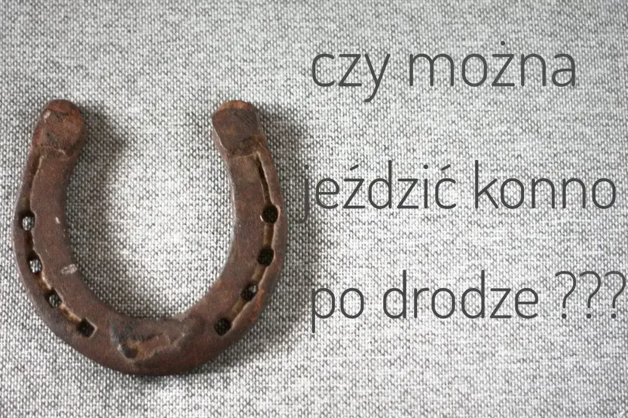 Podkowa na szarym tle. Pytanie: czy można jeździć konno po drodze?