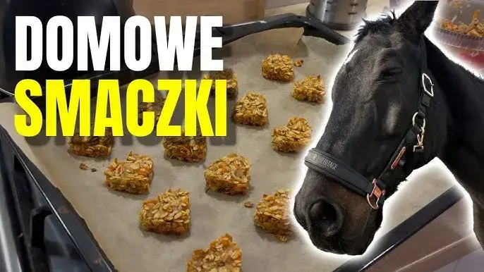 Zdjęcie Jak zrobić ciasteczka dla koni - zdrowe przepisy bez sztucznych dodatków