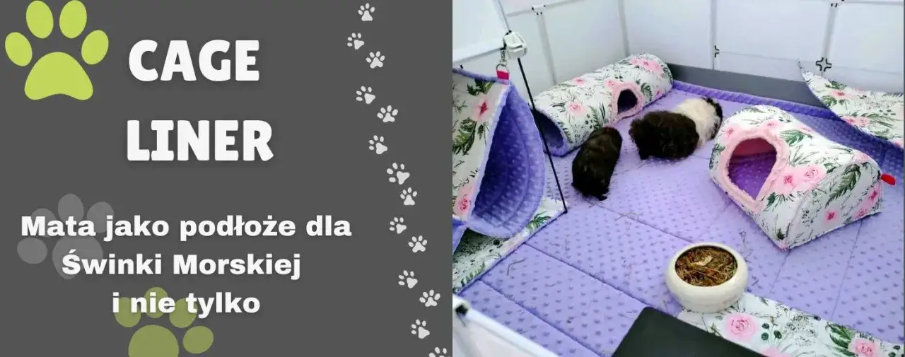 Zdjęcie Co do kuwety dla świnki morskiej - najlepsze podłoża, których unikaj
