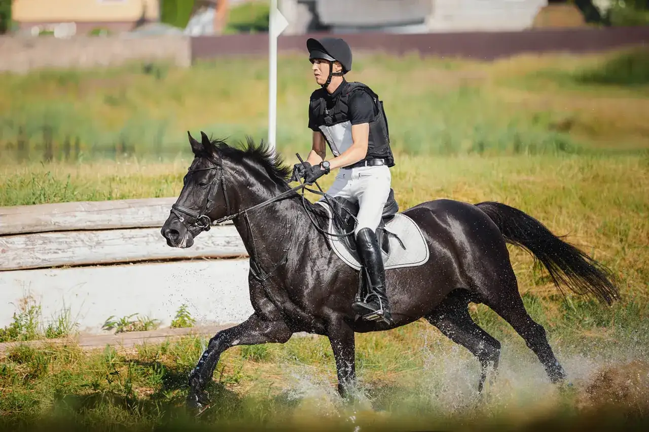 Zdjęcie Sport konny jeździectwo: odkryj fascynujące dyscypliny i historię