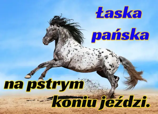 Pstry koń znaczenie: łaska pańska na pstrym koniu jeździ. Wspaniały koń w galopie na tle błękitnego nieba.