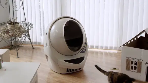 Automatyczna kuweta dla kota i kot w pobliżu kartonowego domku.