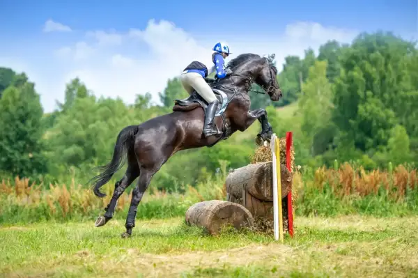 Jeździec na ciemnym koniu pokonuje przeszkodę w stylu cross konie.