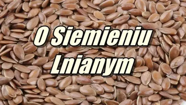 Jak przygotować siemię lniane dla konia, by poprawić jego zdrowie?
