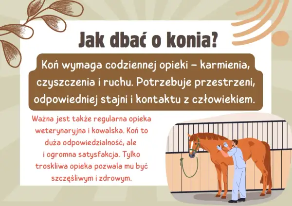 W dzień konia dbamy o jego zdrowie i szczęście. Wymaga codziennej opieki, ruchu i kontaktu z człowiekiem.