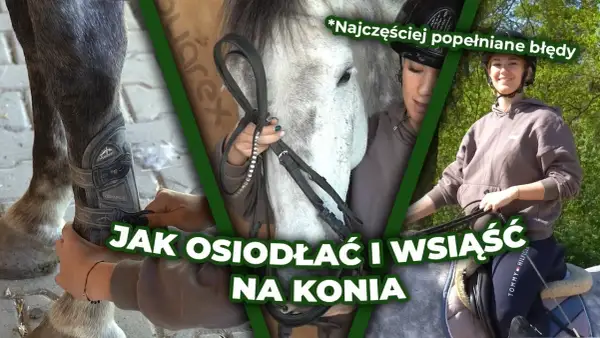 Jak wsiąść na konia: proste kroki, które zapewnią bezpieczeństwo
