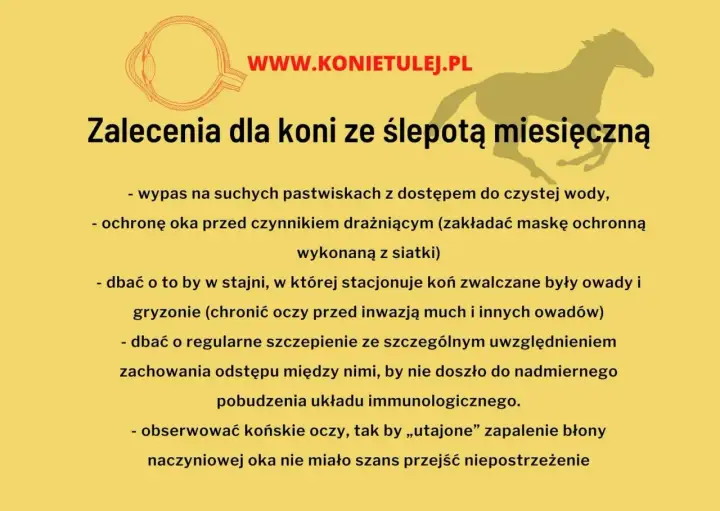 Tkanie u koni - Przyczyny, skutki i skuteczne rozwiązania